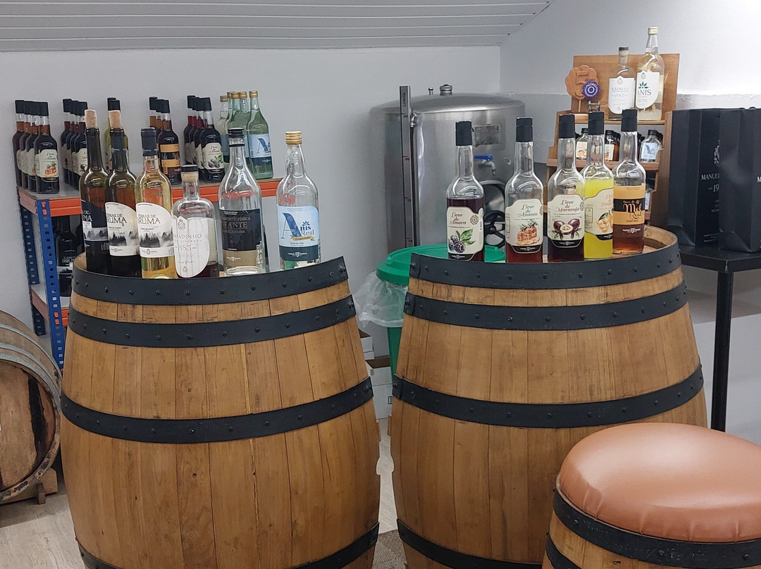 Manuel Rainha Winery景点图片