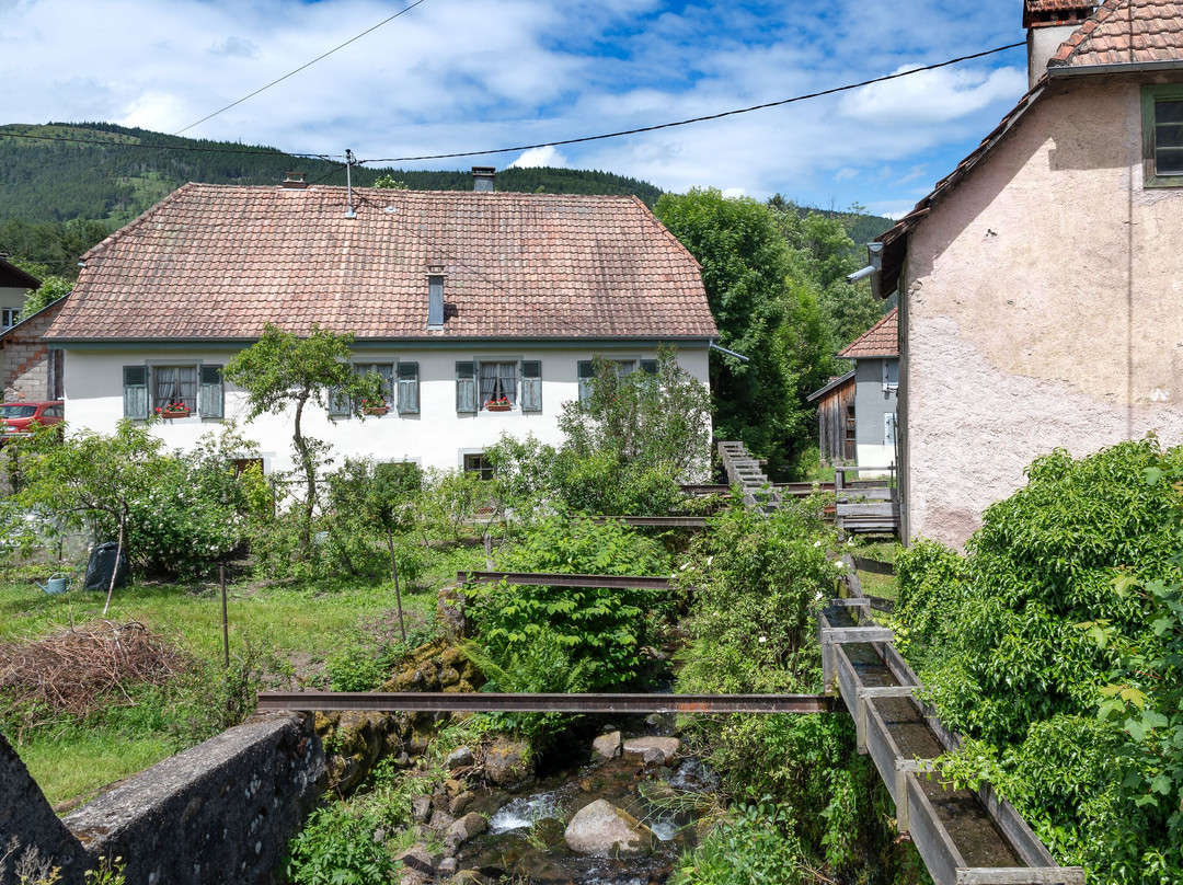 Autour du Moulin de Storckensohn-Storckensohn必去景点