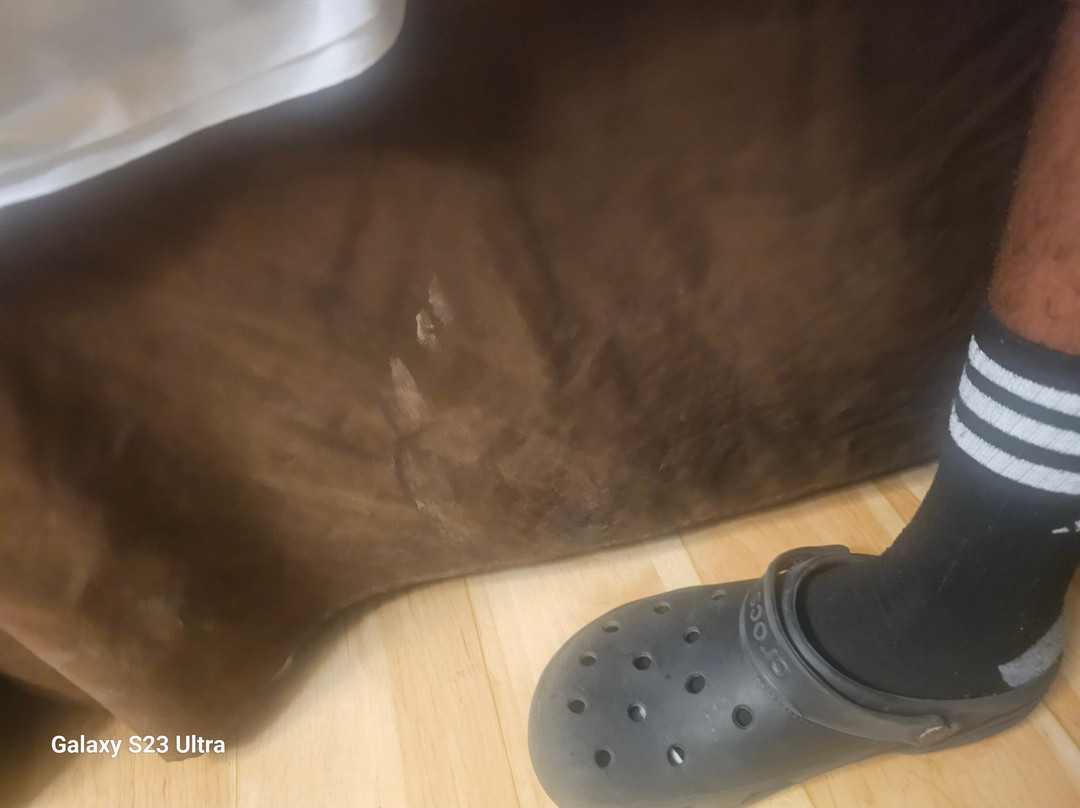 基诺沙/莱森特普瑞尔瑞速8酒店主图