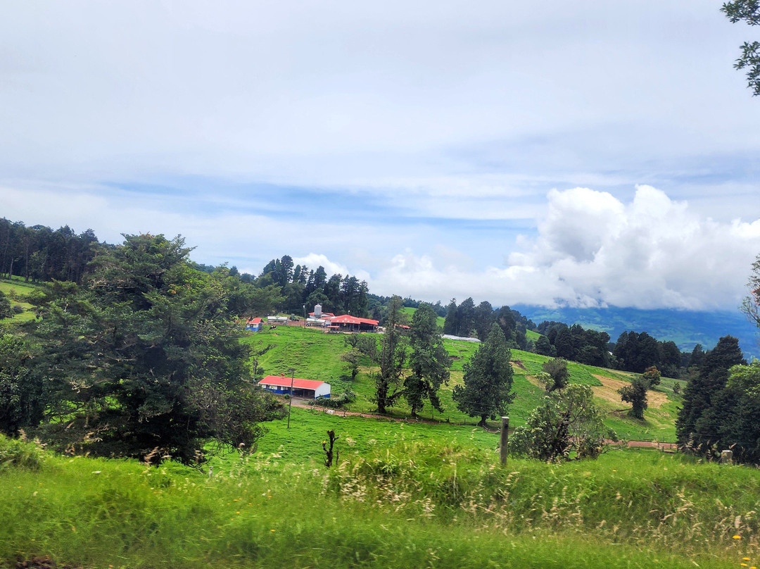 Canopy San Lorenzo-圣拉蒙必去景点