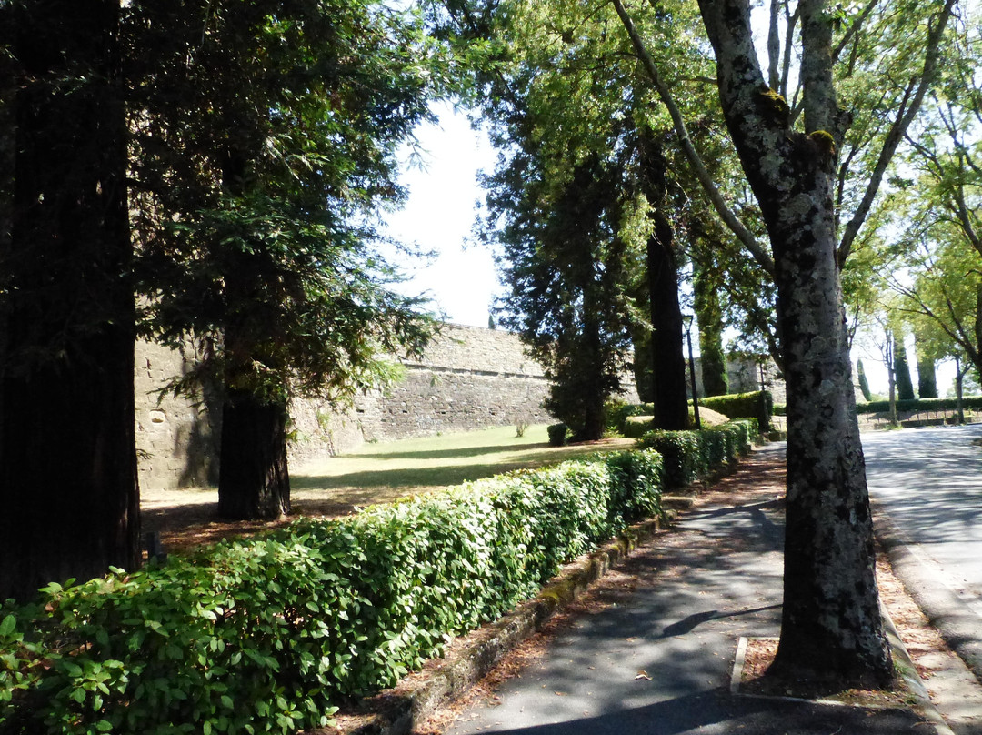 Parco della Fortezza Medicea景点图片