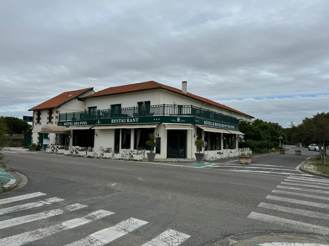 Hotel des Pins主图