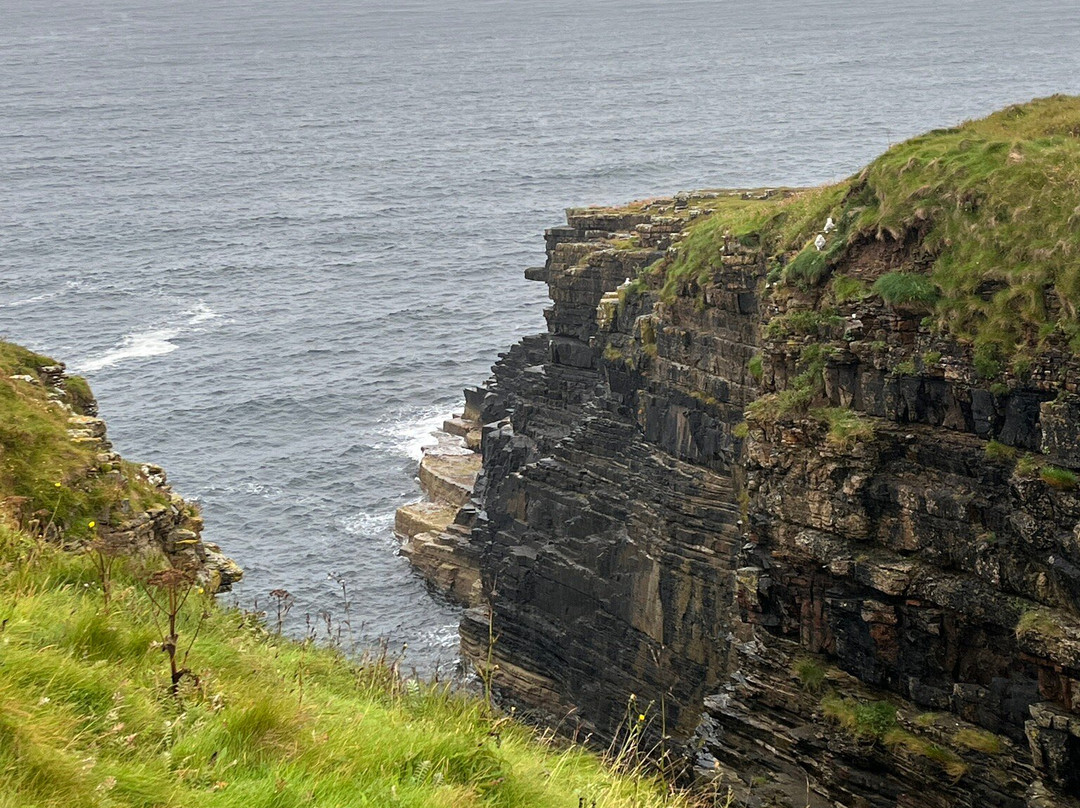 Mull Head Nature Reserve-Deerness必去景点