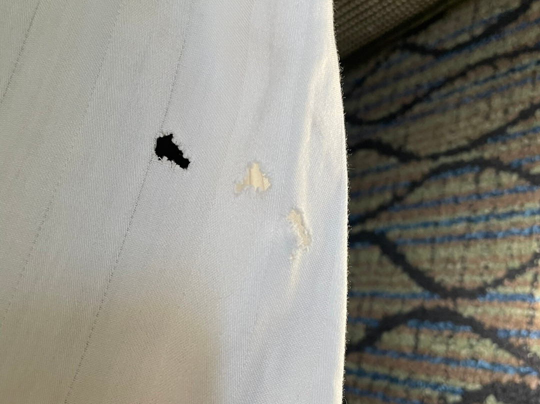 Aviator Hotel & Suites South I-55主图