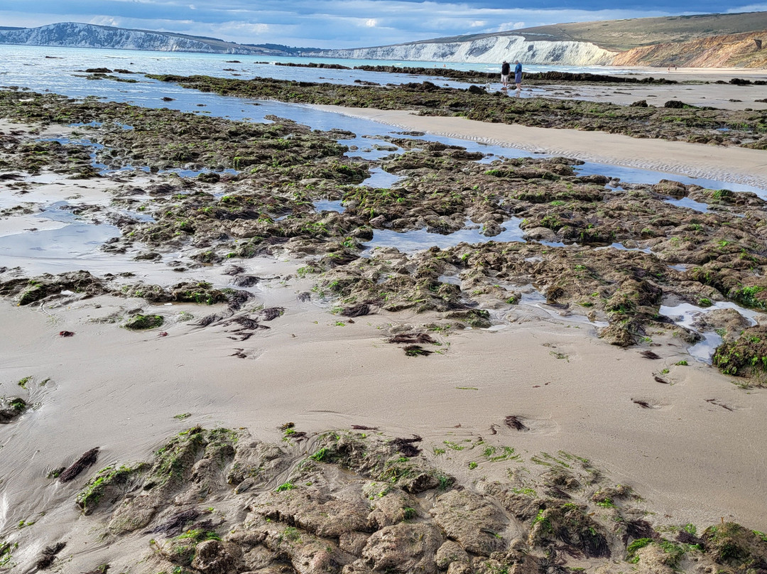 Compton Beach-纽波特必去景点