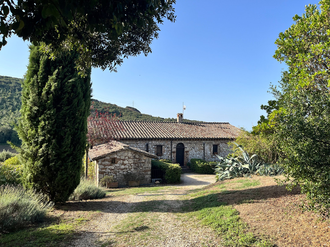 Podere Costa Romana主图