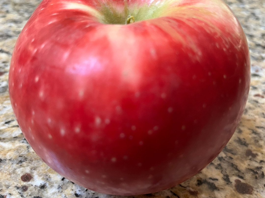 McDougal Orchards景点图片