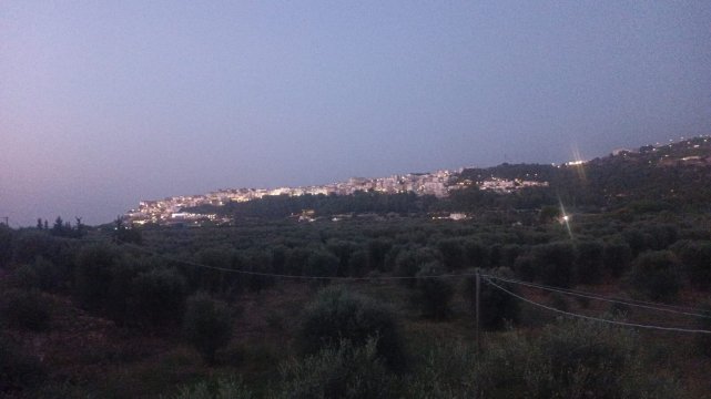 Orchidea 酒店-官方