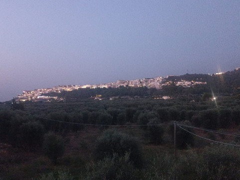 Orchidea 酒店主图