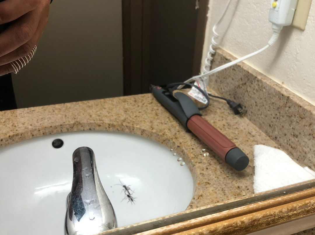 Quality Inn Seekonk-providence主图