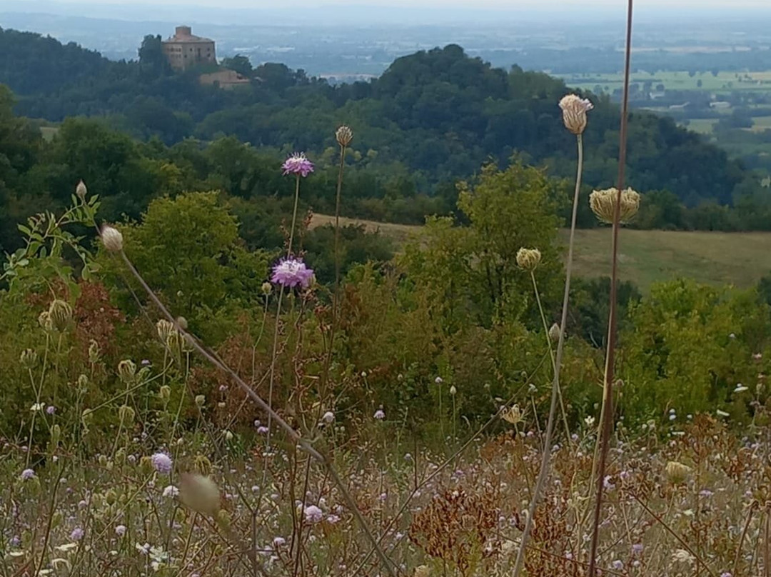 Parco di Roncolo景点图片