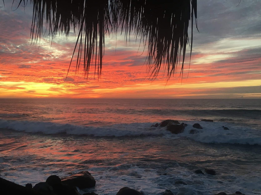 Playa Escondida Sayulita主图