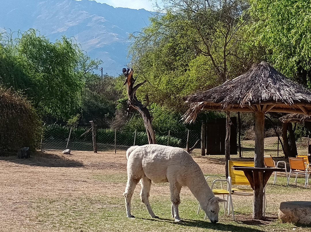 Posada El Pucara主图