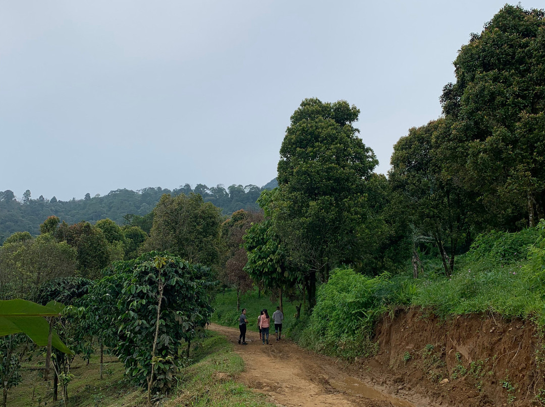 Cisadon Village-Babakan Madang必去景点