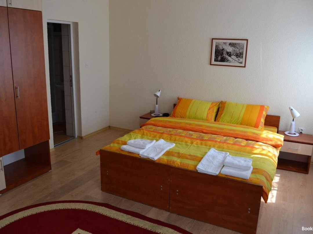 Guesthouse Kruna Visegrad主图