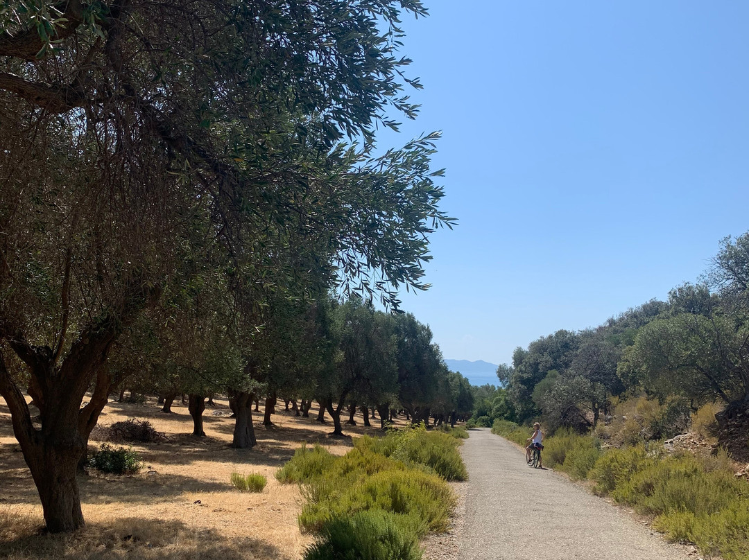 Parco Naturale della Maremma景点图片