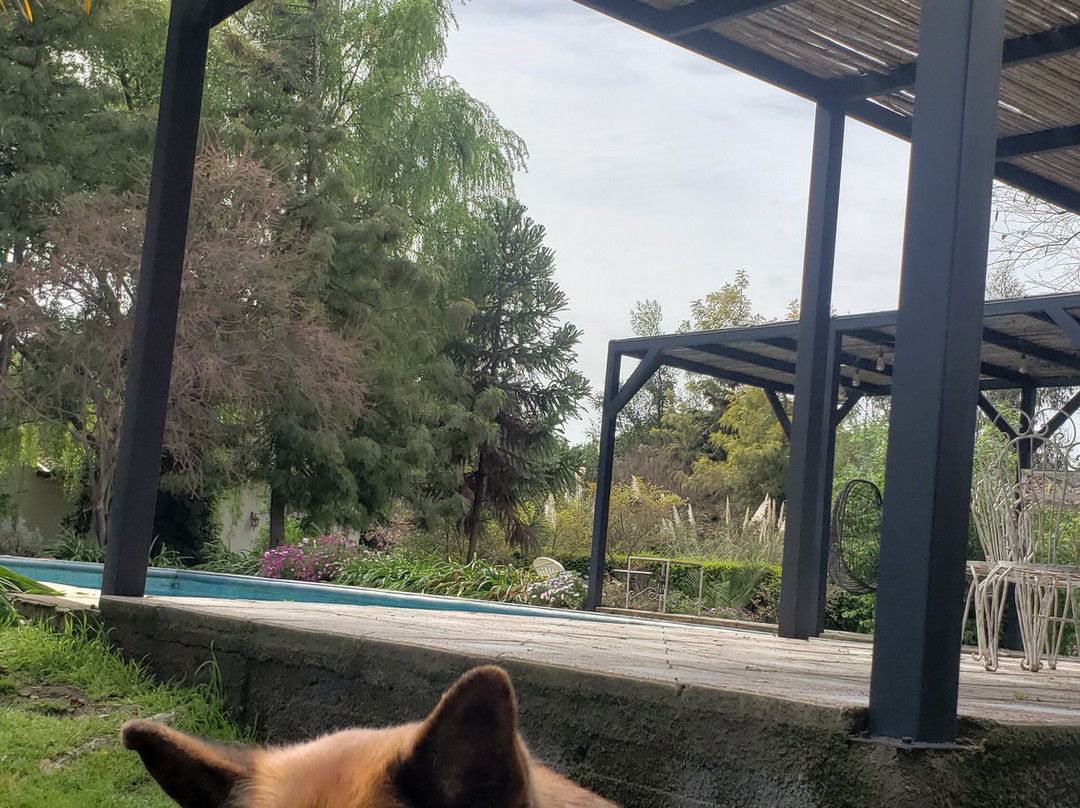 Hotel Hoja de Parra主图