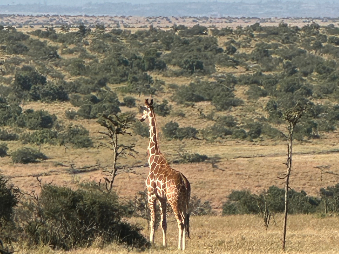 Elohim Tours & Travel-纳库鲁必去景点