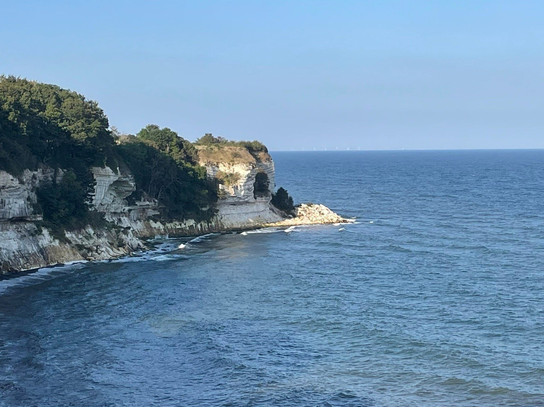 Stevns Klint Experience景点图片