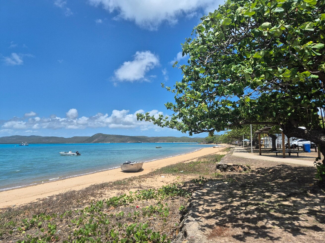 Peddells -Thursday Island Tours-Thursday Island必去景点