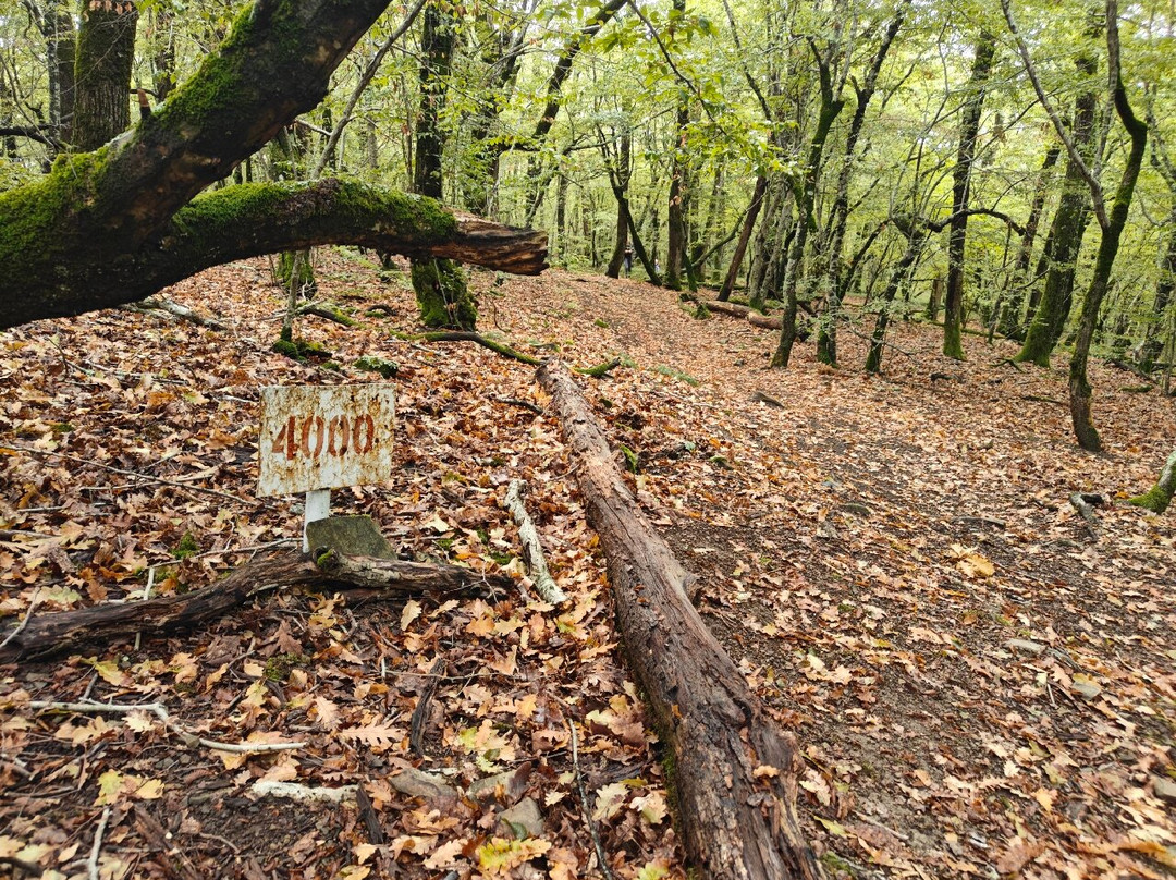 Terrainkur景点图片