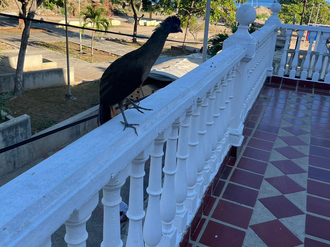 Hotel Plazamar主图