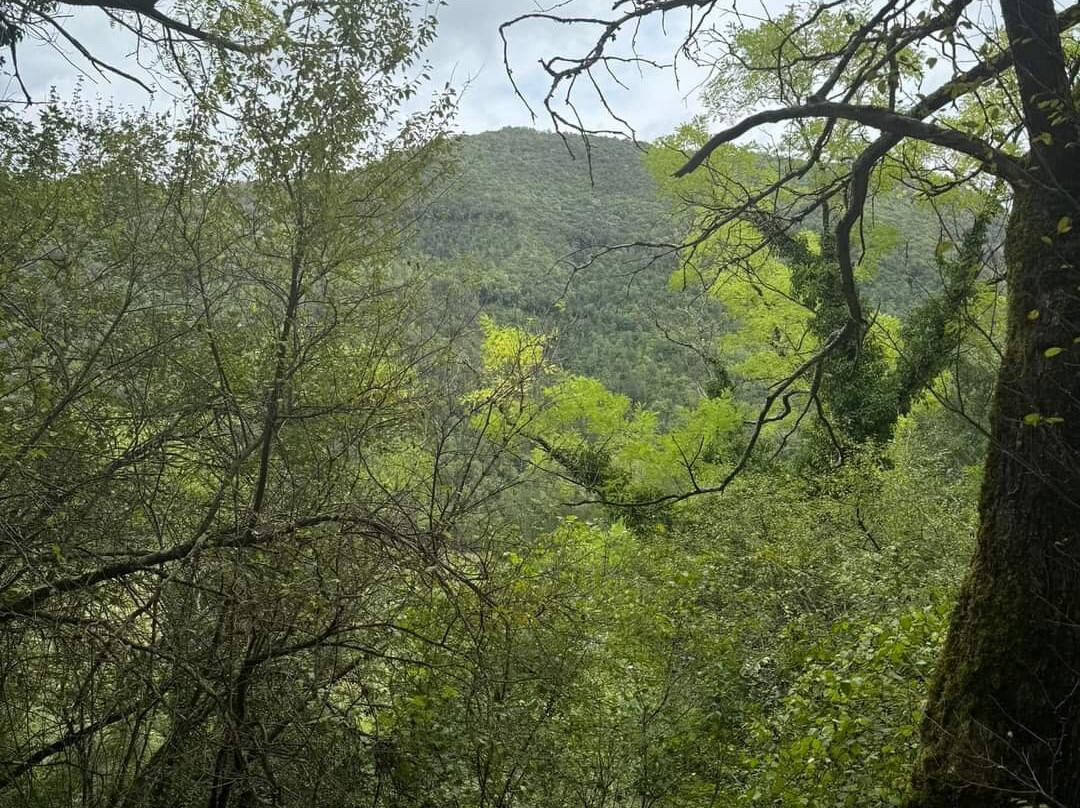 La Casella, Eco Resort主图