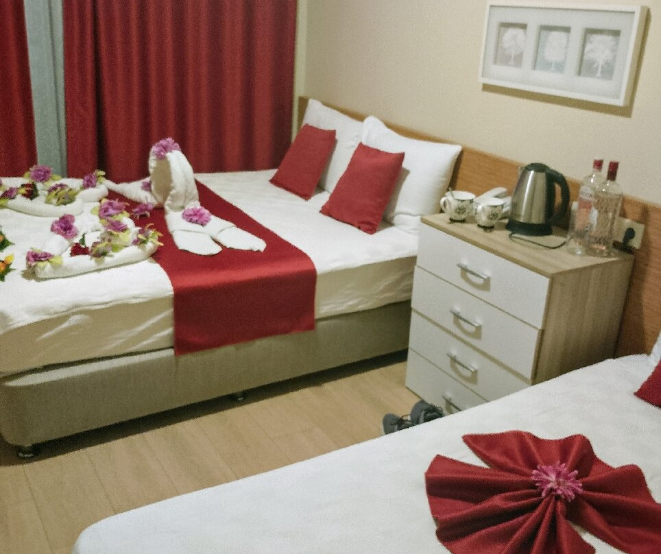 Altinersan Hotel主图