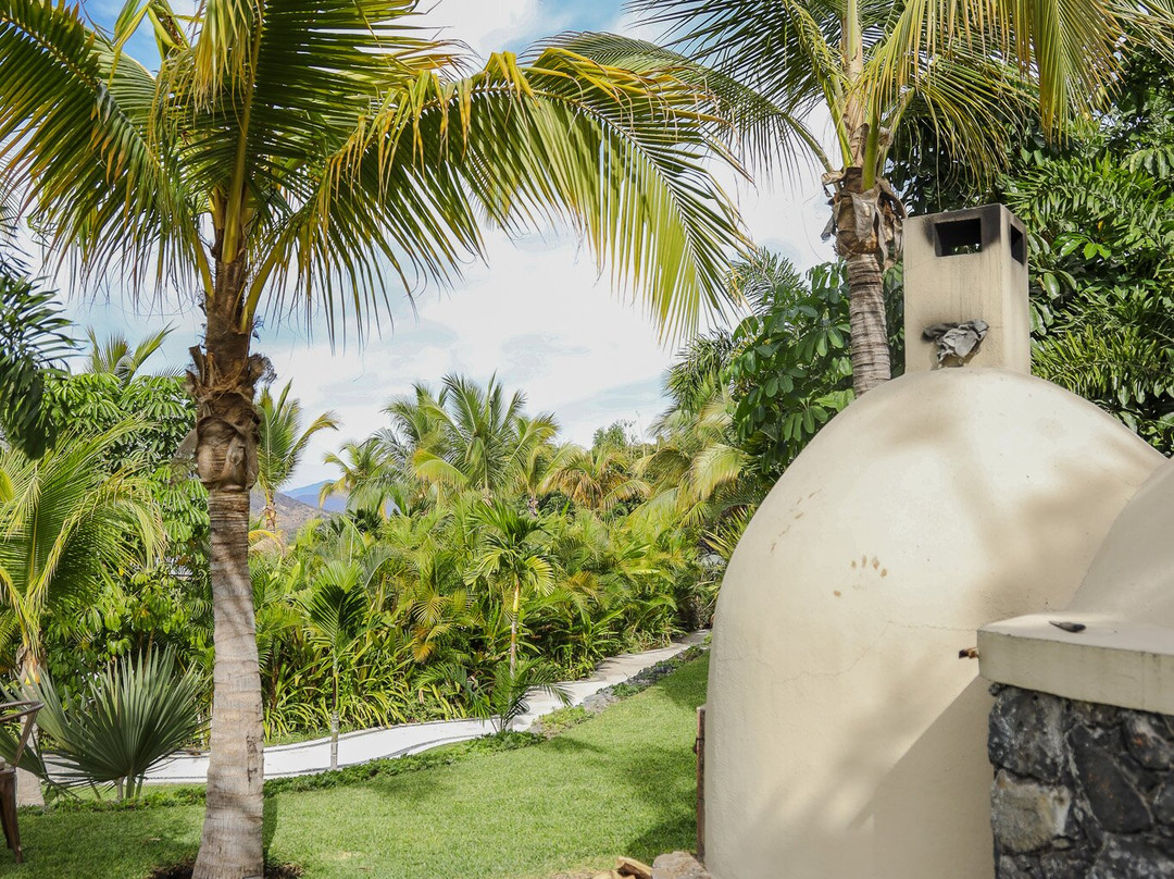 Soul Spring Sanctuary主图