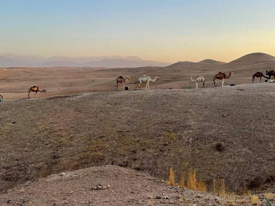 Mount toubkal-Tahanaout必去景点