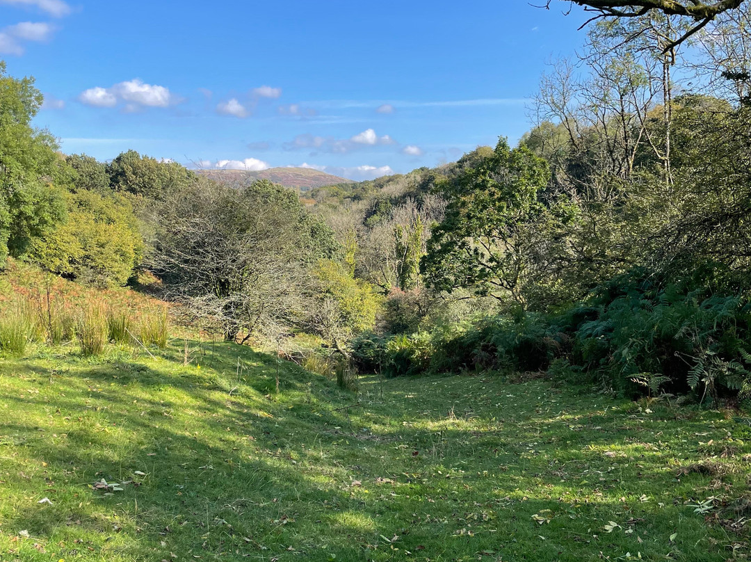 The Mill at Glynhir主图