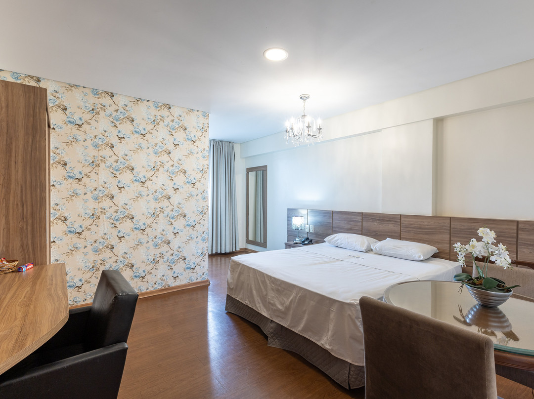 Porto Minas Hotel e Convenções主图