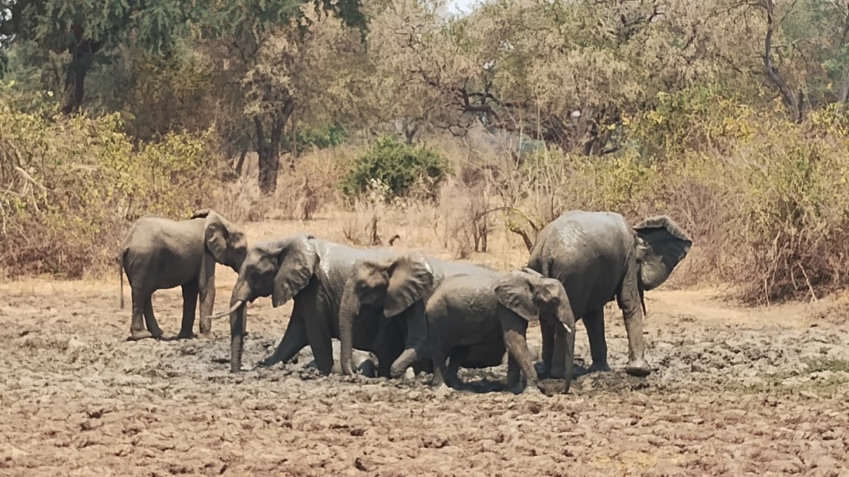 夫拉特多格斯露营旅馆-浴室