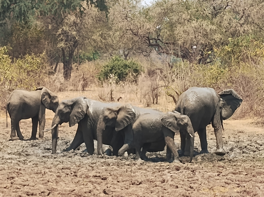 夫拉特多格斯露营旅馆主图