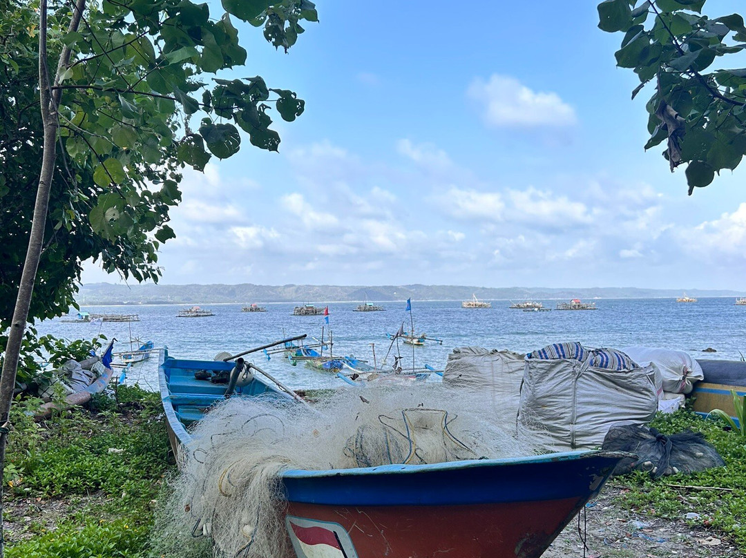 Pangandaran National Park-庞岸达兰必去景点