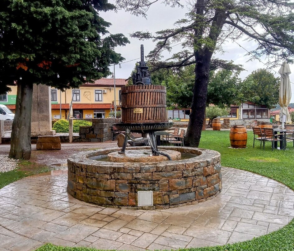 Wine Fountain Marezige景点图片