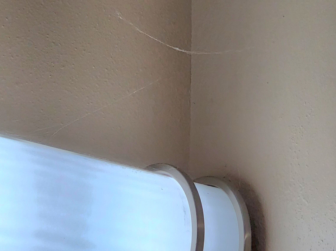 Baymont by Wyndham Florence/Muscle Shoals主图