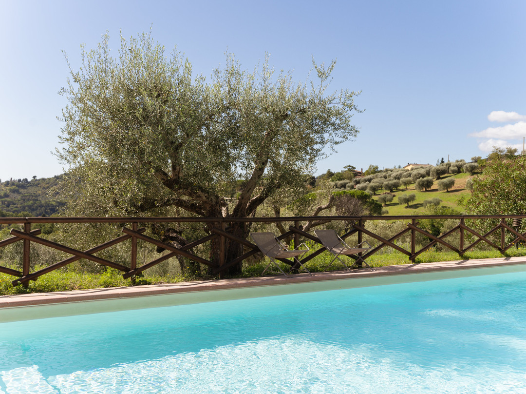 Agriturismo San Felicissimo主图