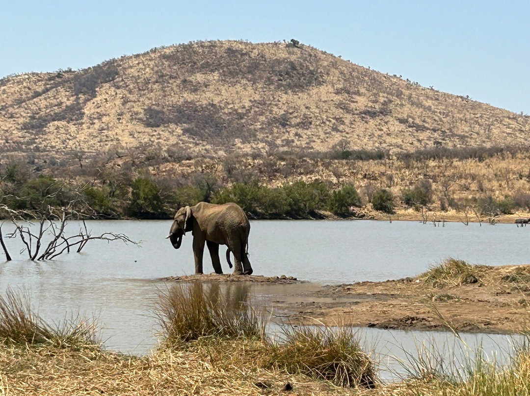 Ingrid's Safaris - Day Tour-约翰内斯堡必去景点