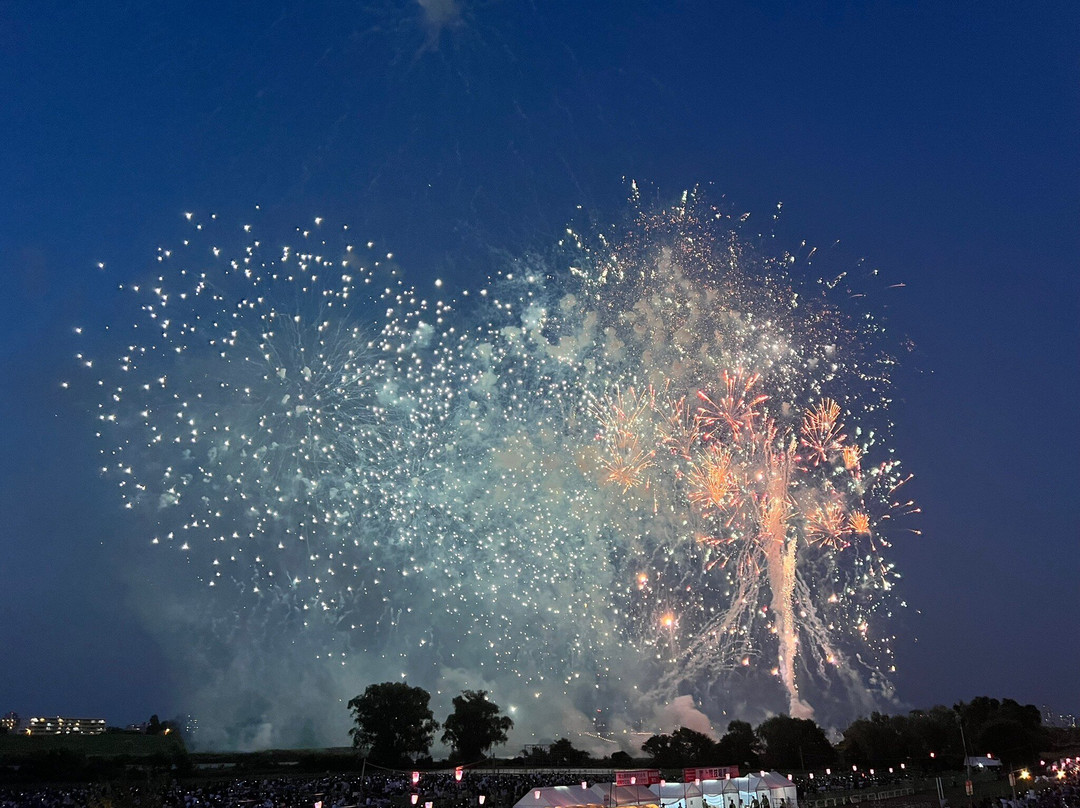 板桥花火大会-板桥区必去景点