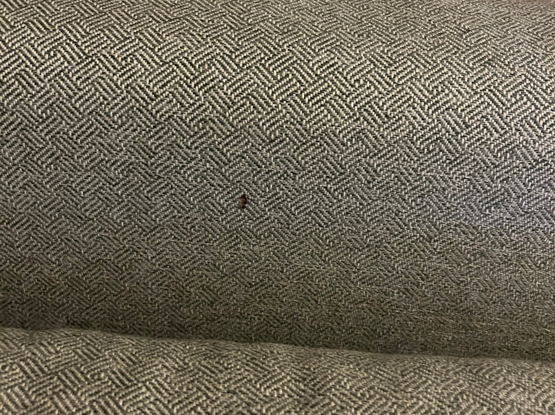 Comfort Inn & Suites主图