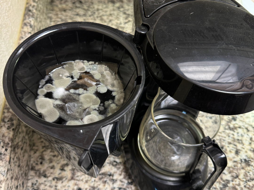 Hawthorn Suites by Wyndham Decatur主图