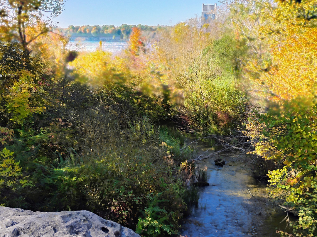 Three Sisters Island-尼亚加拉大瀑布必去景点
