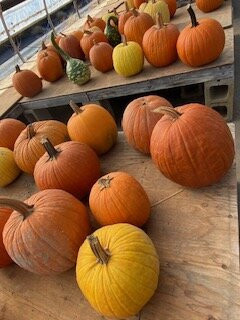 Snell Family Farm-West Buxton必去景点