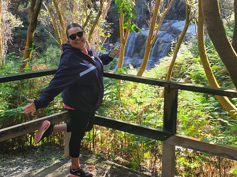 Tino Pai Tours-汉密尔顿必去景点