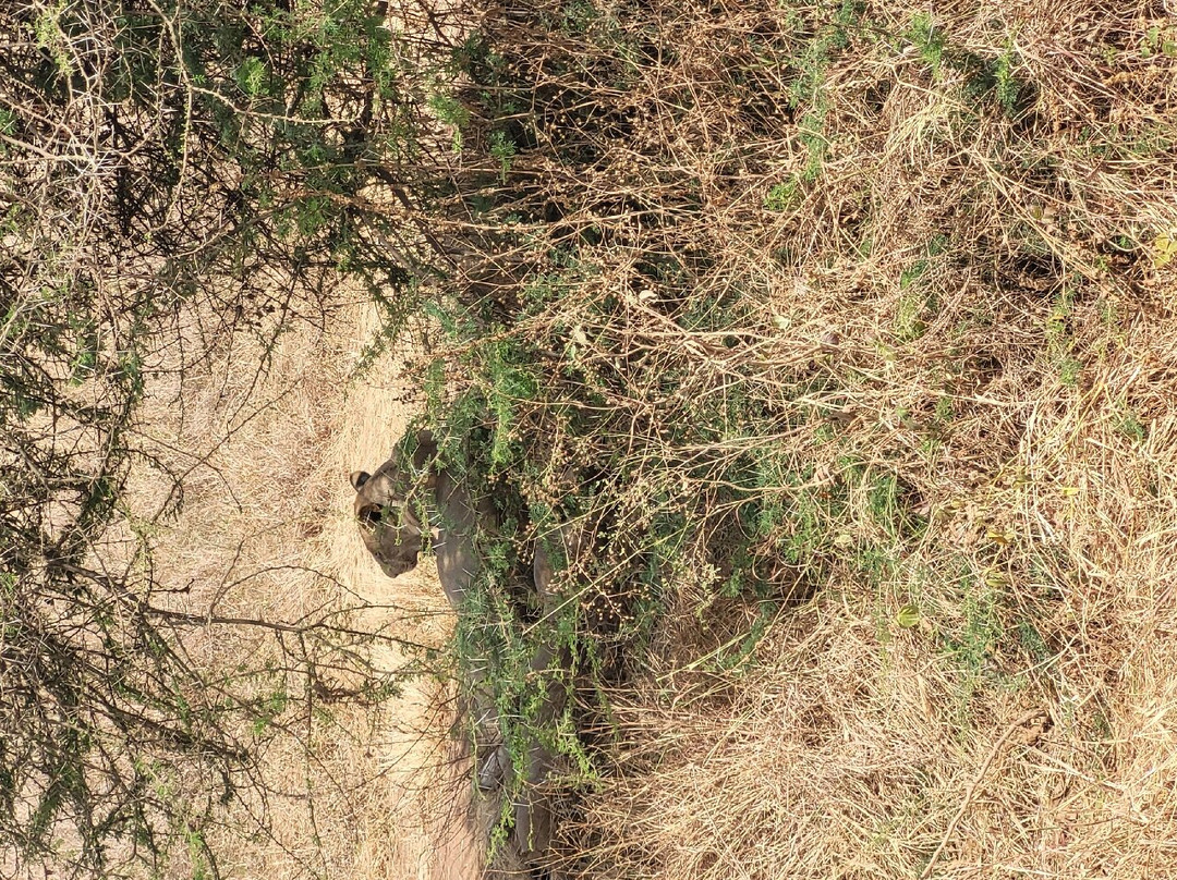 Mountain’s Hug主图