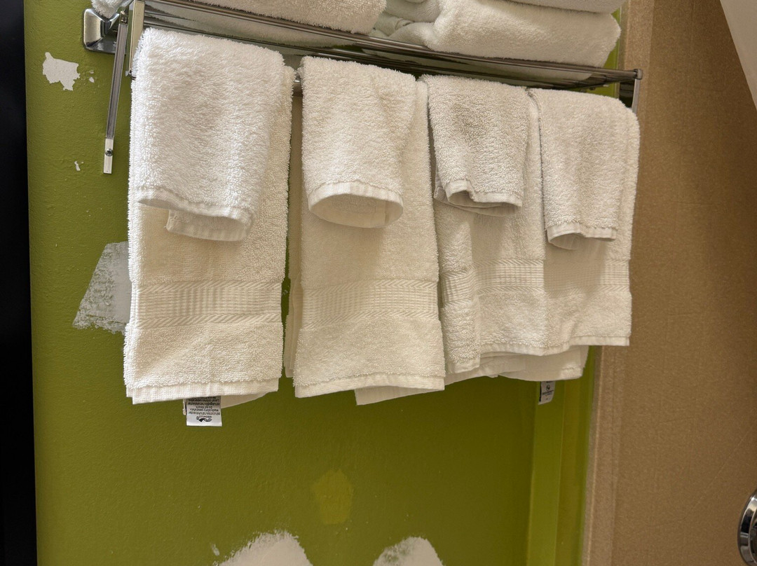 Quality Inn & Suites Glenmont - Albany South主图