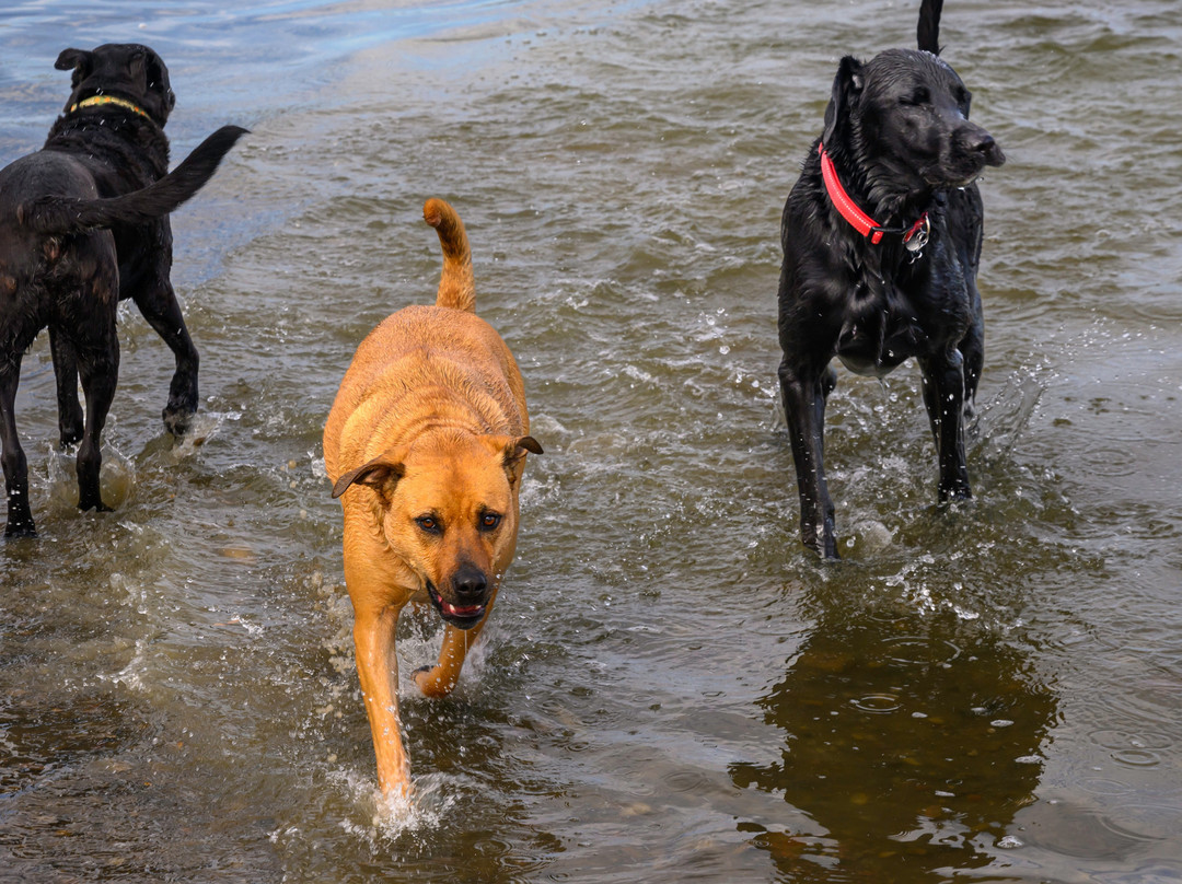 Union Reservoir Park-朗蒙特必去景点