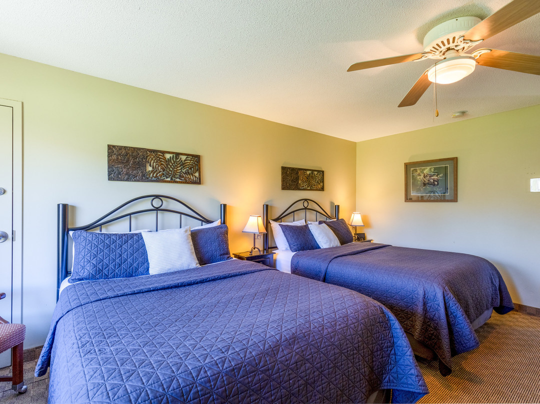 Log Cabin Inn - Accommodations主图