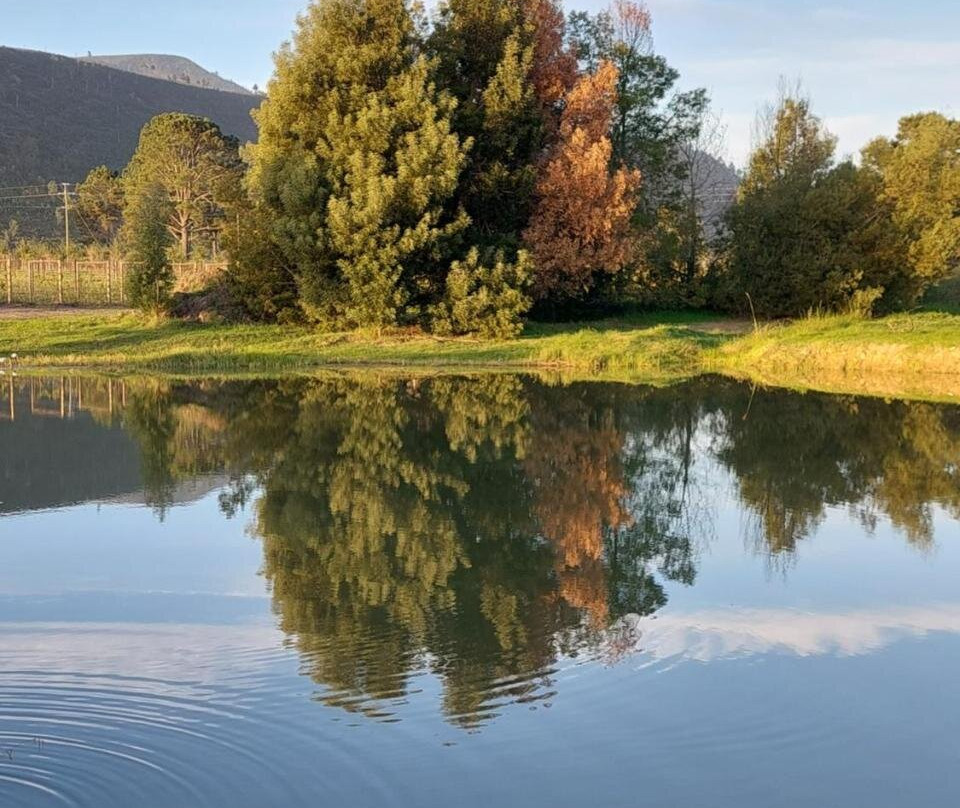 20 Good Summers Farm Stay